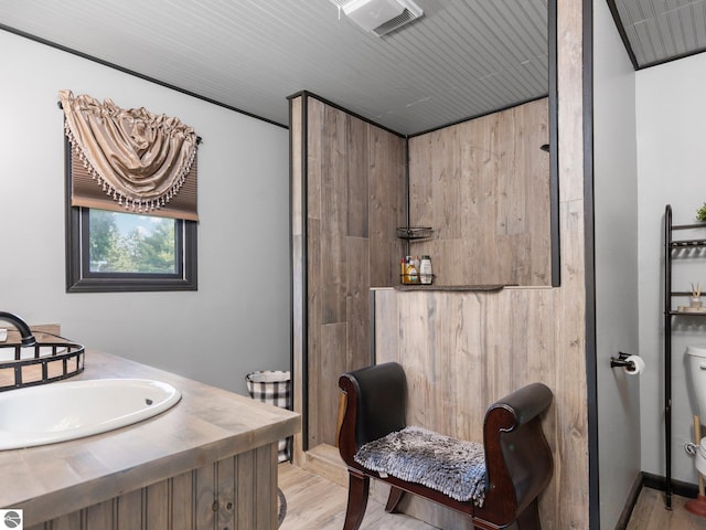 bathroom with toilet, vanity, and wood-type flooring