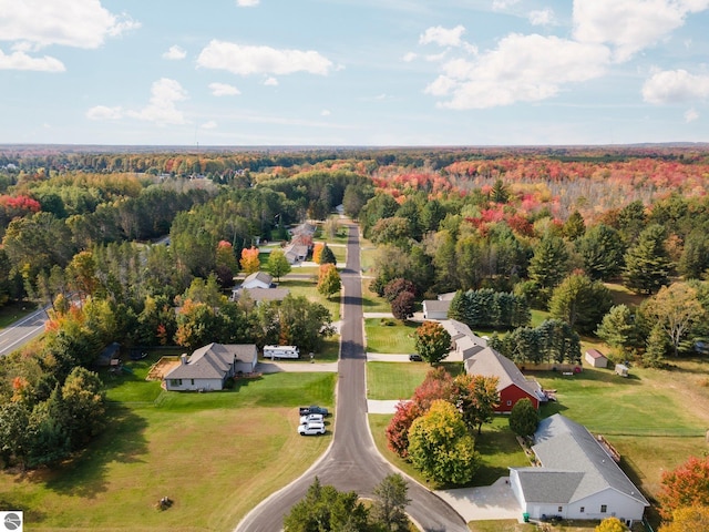 drone / aerial view