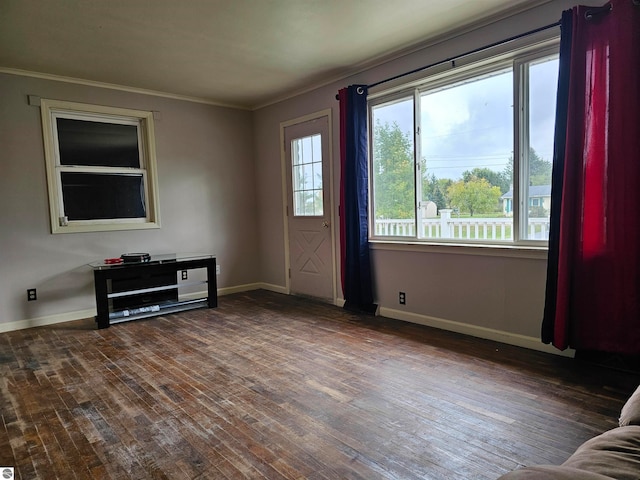 interior space featuring dark hardwood / wood-style flooring and ornamental molding