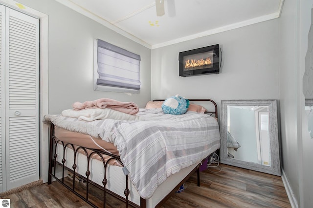 bedroom with ornamental molding, ceiling fan, a closet, and dark hardwood / wood-style floors