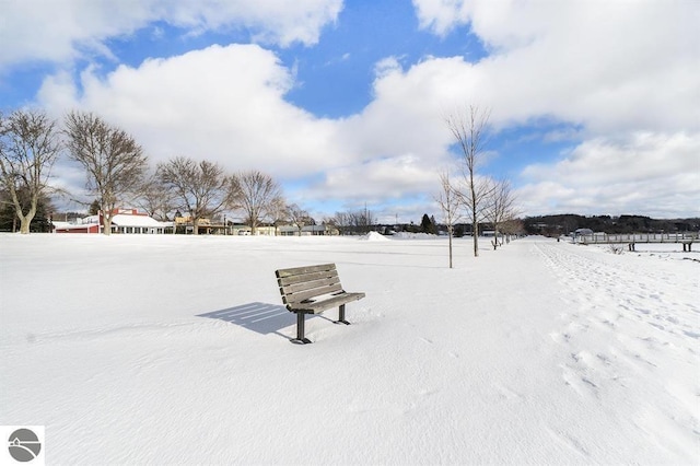 1219 Elm St, Frankfort, MI 49635 - view of yard covered in snow