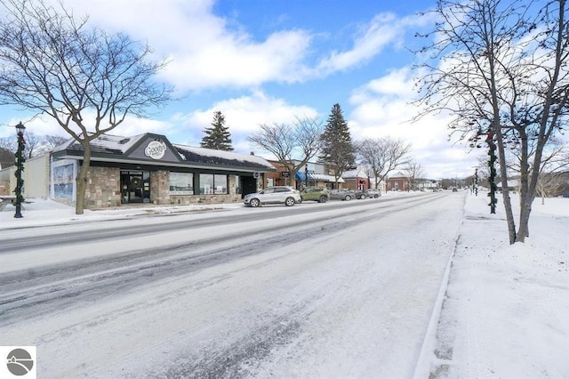1219 Elm St, Frankfort, MI 49635 - view of street