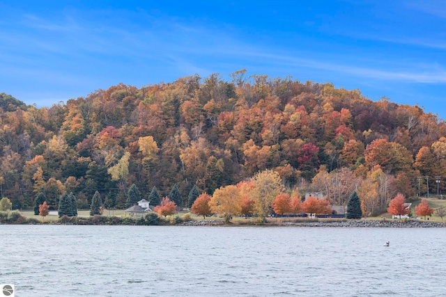 property view of water