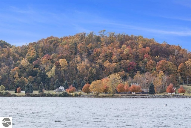 1219 Elm St, Frankfort, MI 49635 - view of water feature featuring a forest view
