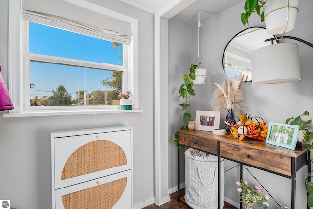 room details with crown molding