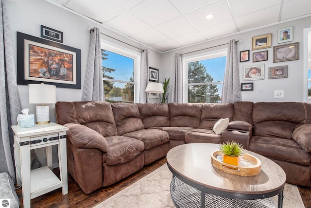 living room with dark hardwood / wood-style flooring and a drop ceiling