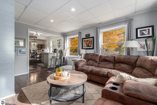 living room featuring a drop ceiling and dark hardwood / wood-style flooring