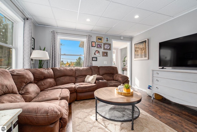 living room with a paneled ceiling, plenty of natural light, and hardwood / wood-style flooring