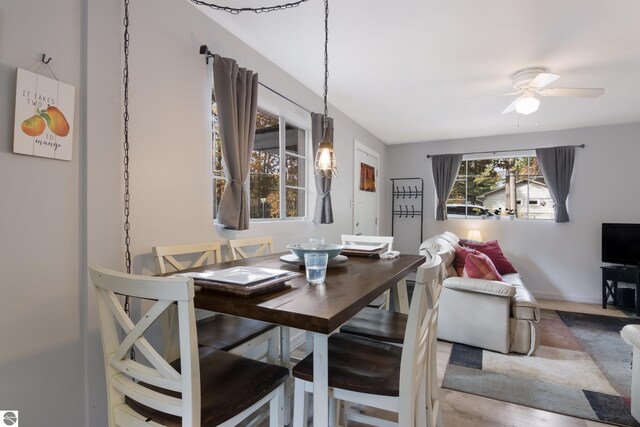 dining area featuring baseboards and a ceiling fan