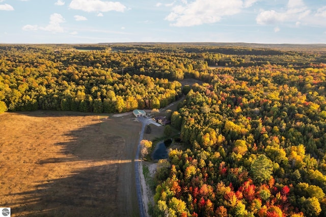 bird's eye view