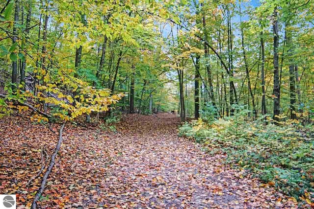 view of local wilderness