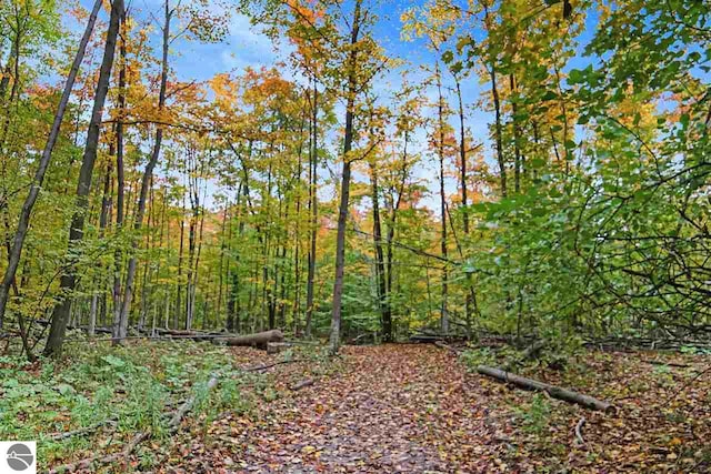 view of landscape with a forest view