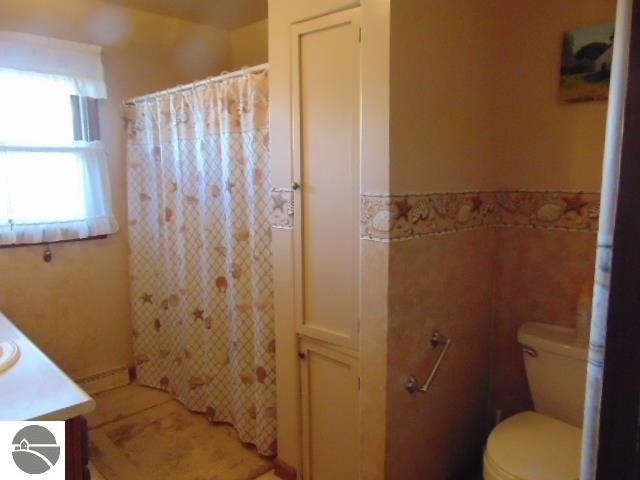 bathroom featuring vanity, walk in shower, and toilet