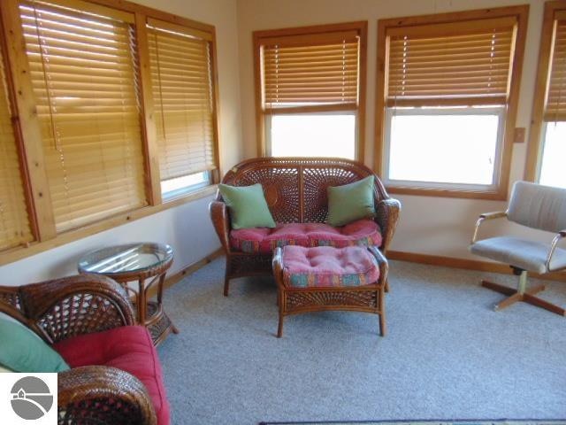 living area with carpet