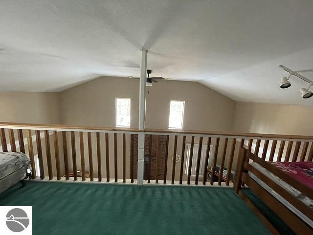 unfurnished bedroom with lofted ceiling, carpet floors, rail lighting, and ceiling fan