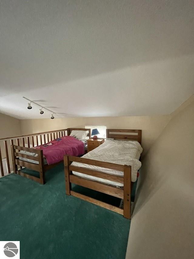 bedroom with a textured ceiling, track lighting, and carpet floors