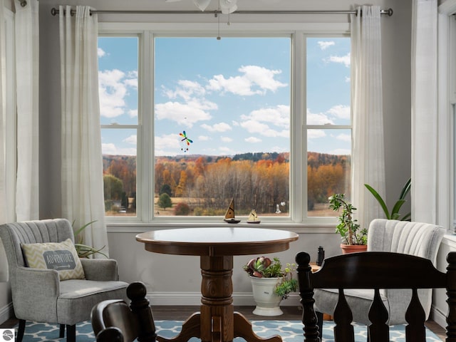 living area with hardwood / wood-style floors and plenty of natural light