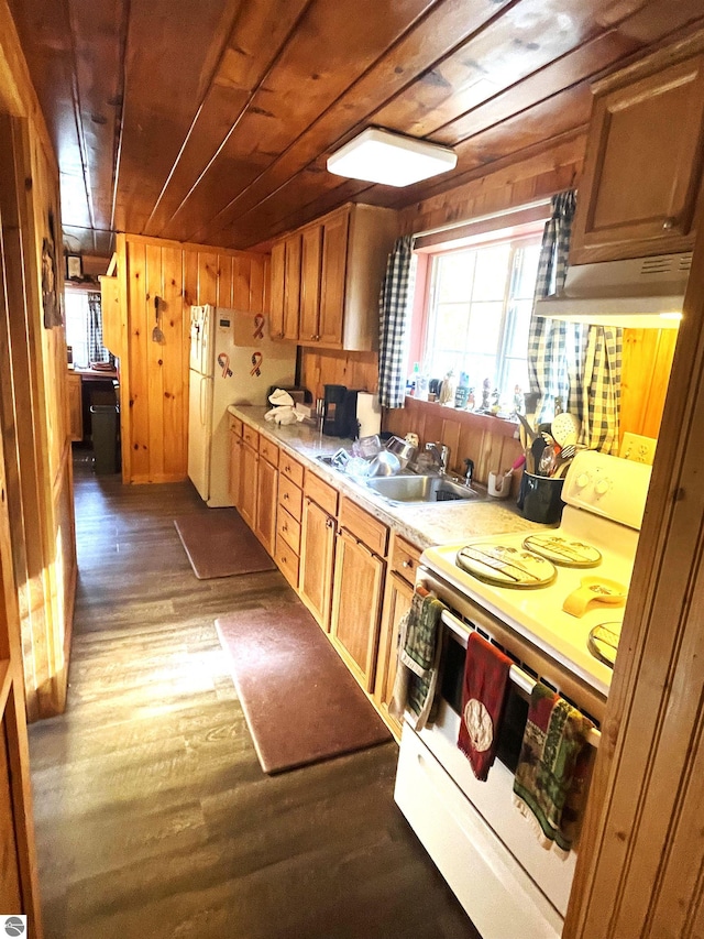 kitchen featuring ventilation hood, dark hardwood / wood-style floors, wood walls, sink, and white appliances