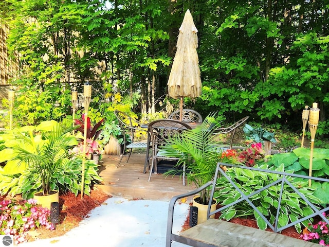 view of patio / terrace with a wooden deck