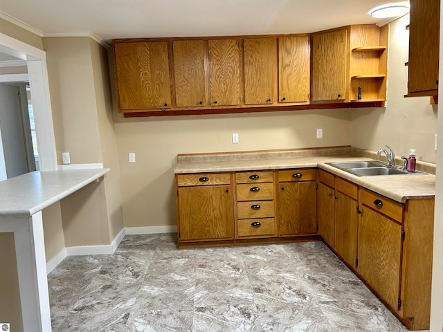 kitchen featuring ornamental molding and sink