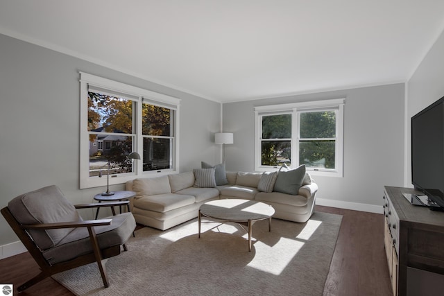 living room featuring ornamental molding, dark wood-type flooring, and a healthy amount of sunlight