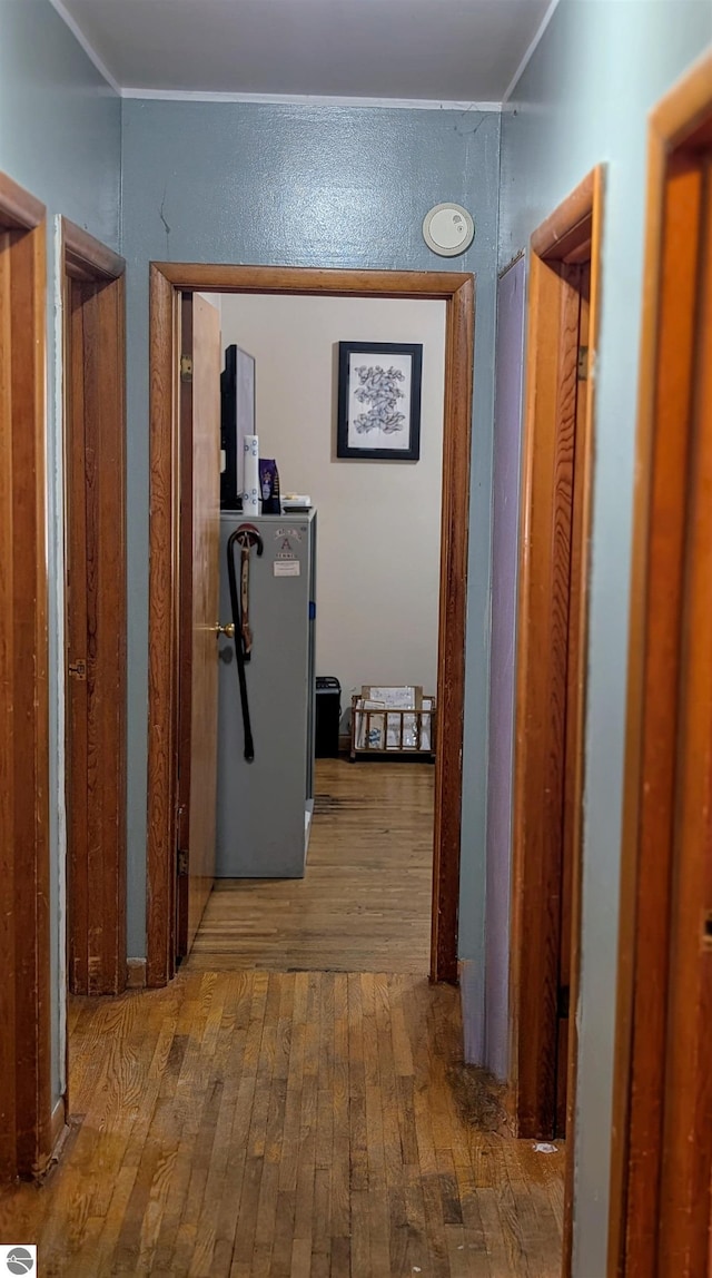 corridor with hardwood / wood-style flooring