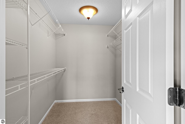 spacious closet with carpet floors