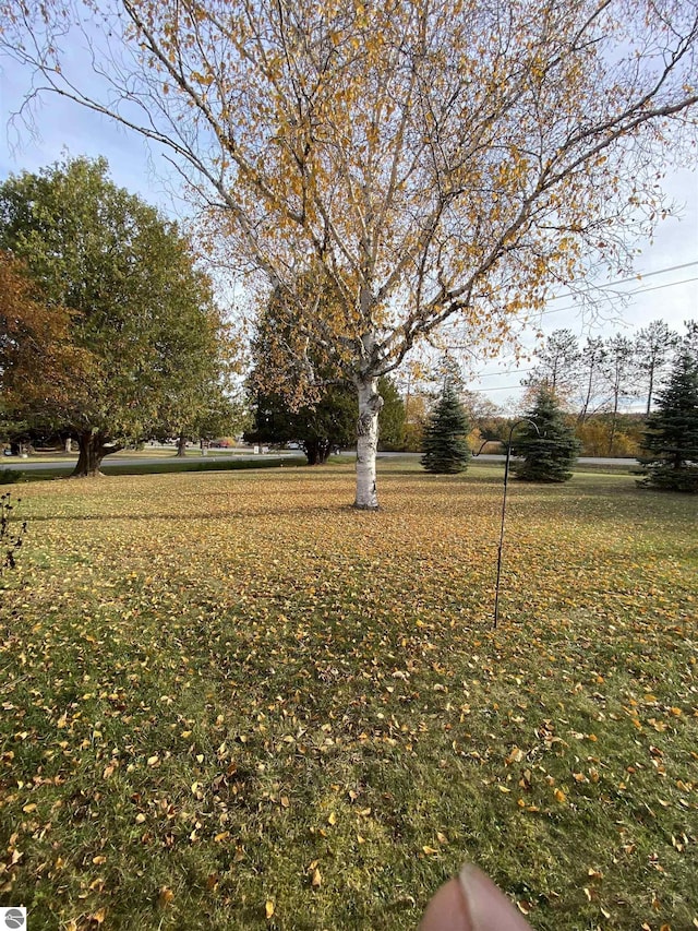 616 Holiday Dr, Bellaire, MI 49615 - view of green lawn
