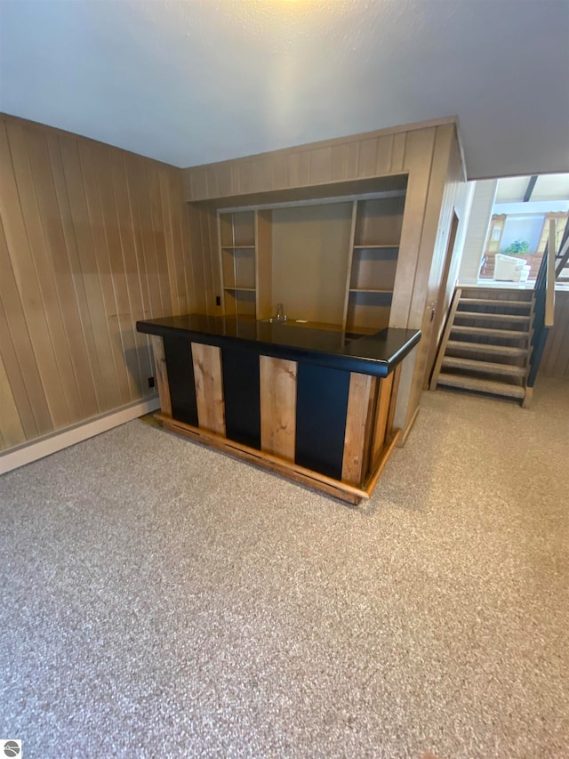 bar featuring wood walls and carpet floors