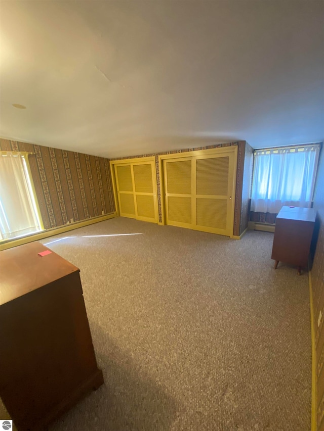 additional living space with carpet floors