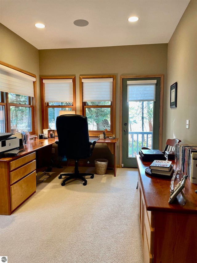 office featuring light colored carpet