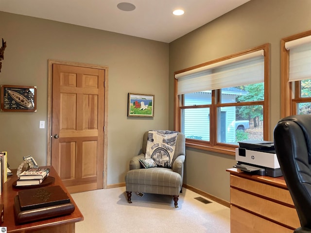 sitting room featuring carpet floors