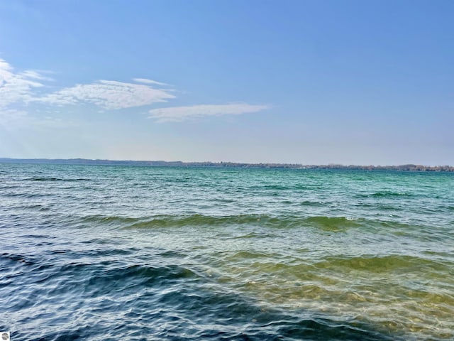 11320 Shippey Ln, Rapid City, MI 49676 - view of water feature