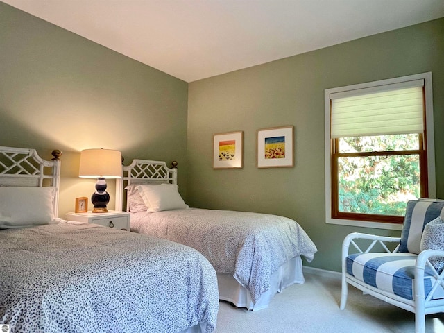 bedroom featuring carpet