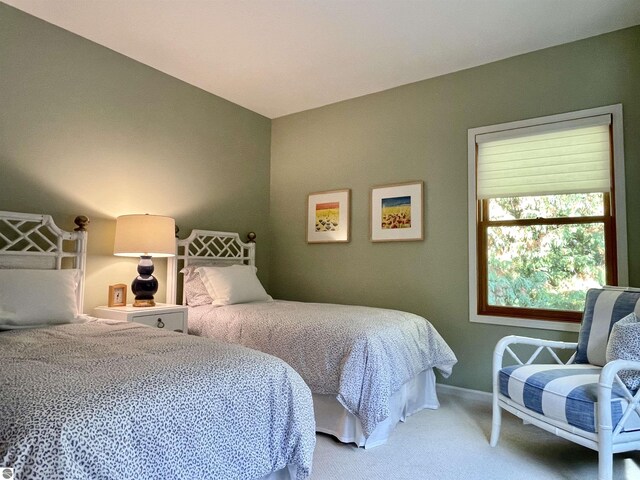 11320 Shippey Ln, Rapid City, MI 49676 - bedroom featuring carpet flooring and baseboards