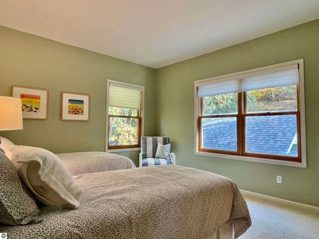 carpeted bedroom featuring multiple windows