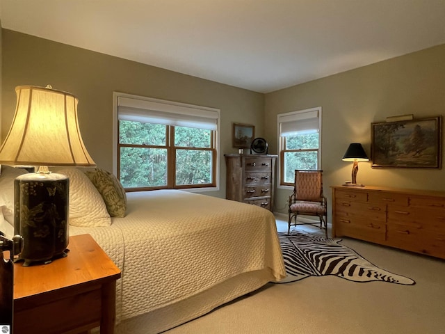 11320 Shippey Ln, Rapid City, MI 49676 - carpeted bedroom featuring multiple windows