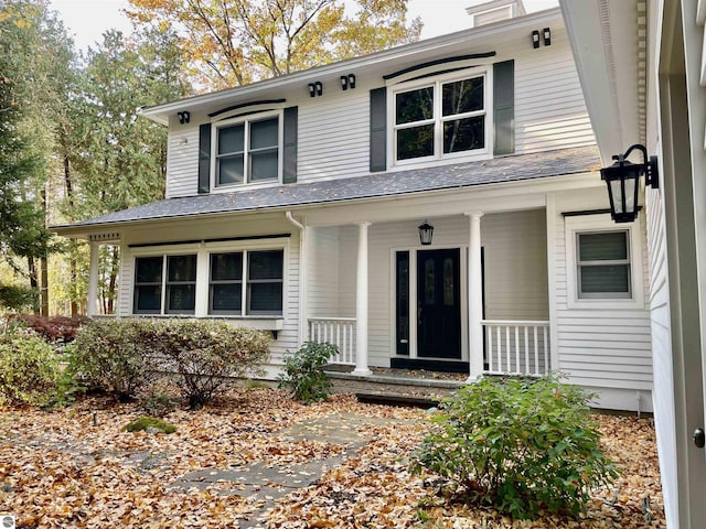 11320 Shippey Ln, Rapid City, MI 49676 - traditional-style house with a porch