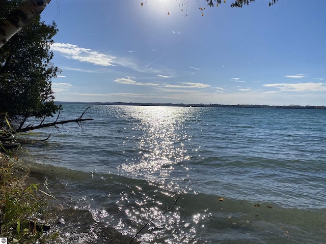 11320 Shippey Ln, Rapid City, MI 49676 - water view