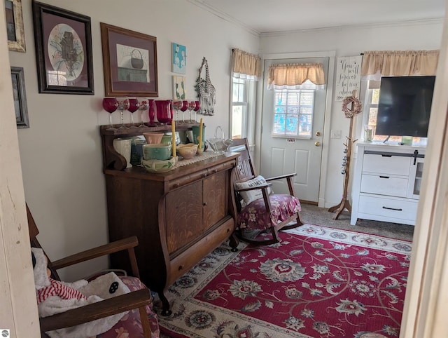 living area featuring crown molding and carpet