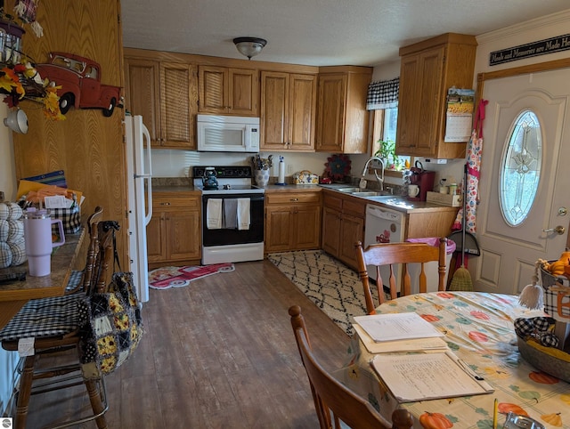 kitchen with sink, a textured ceiling, white appliances, and dark hardwood / wood-style flooring