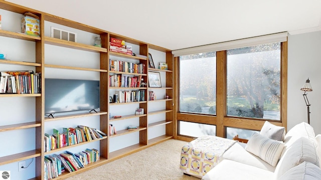 sitting room with a wealth of natural light and light colored carpet