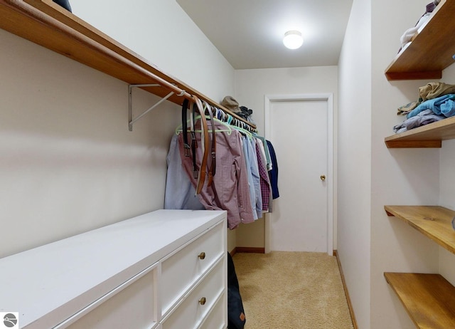 spacious closet featuring light colored carpet