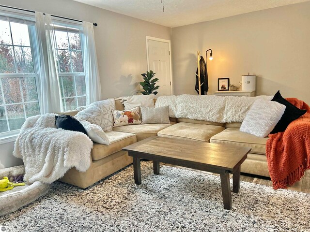 living room featuring a textured ceiling and hardwood / wood-style flooring