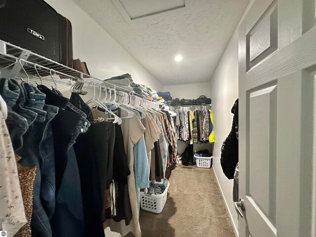 walk in closet featuring carpet floors