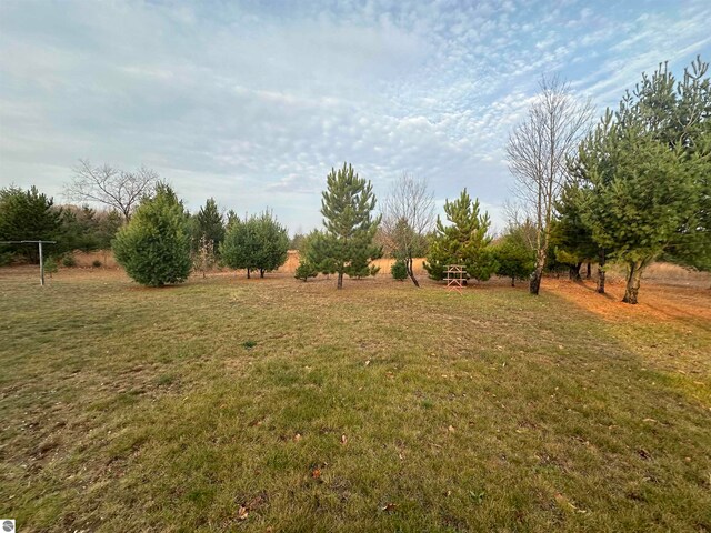 view of yard featuring a rural view