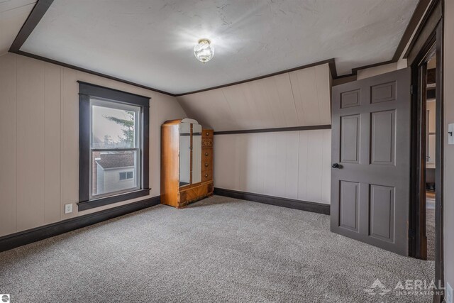 additional living space with vaulted ceiling and carpet floors