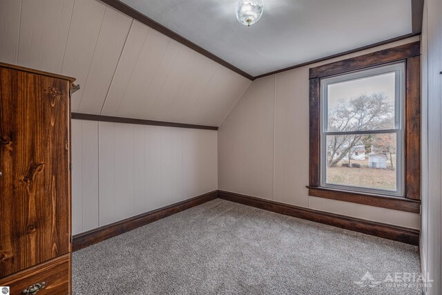 bonus room featuring carpet floors and vaulted ceiling