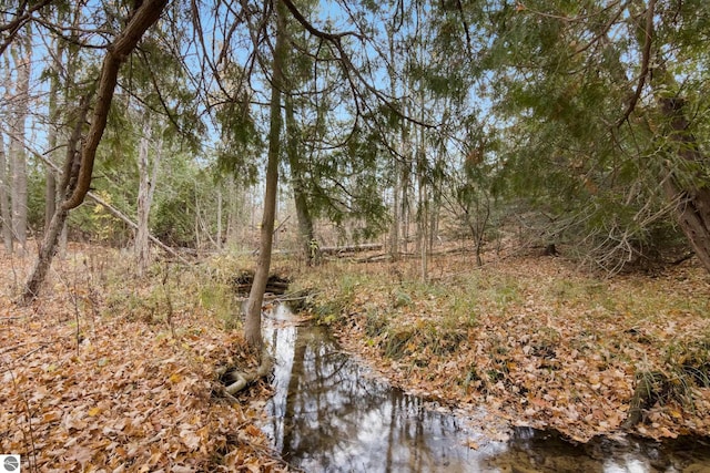 view of local wilderness