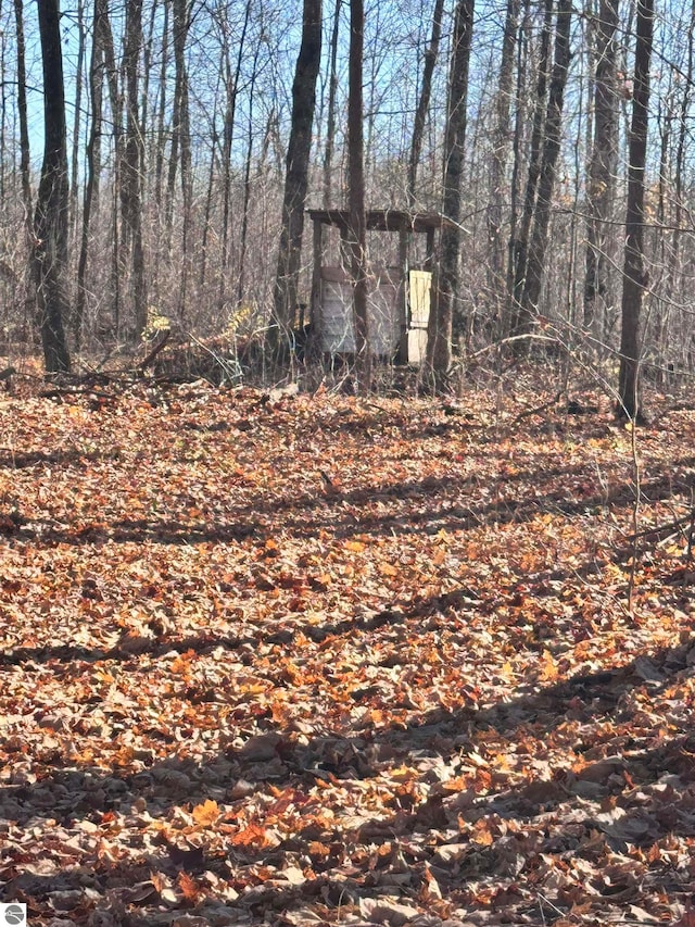 view of local wilderness